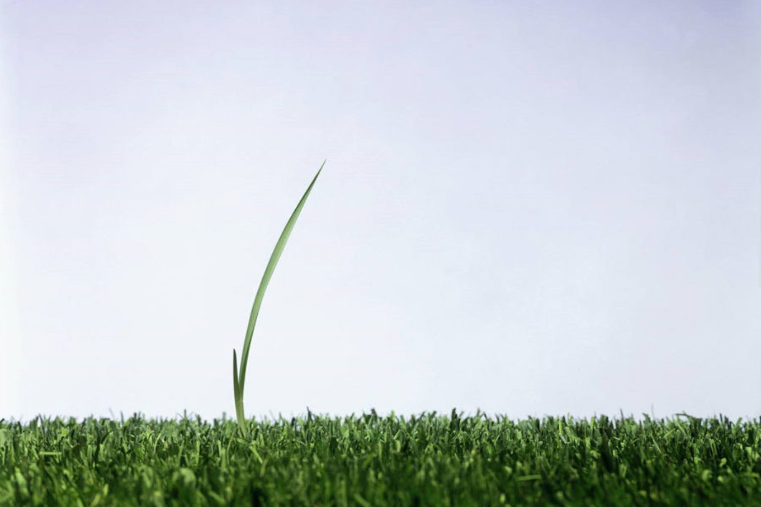 Create a Best Selling Brand