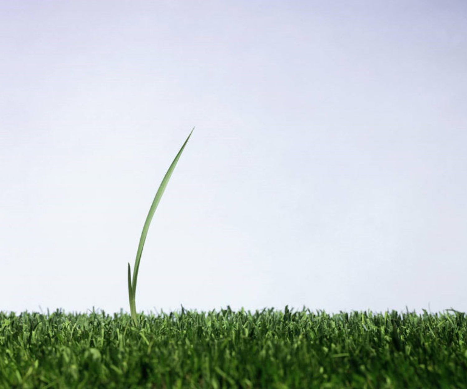 Create a Best Selling Brand