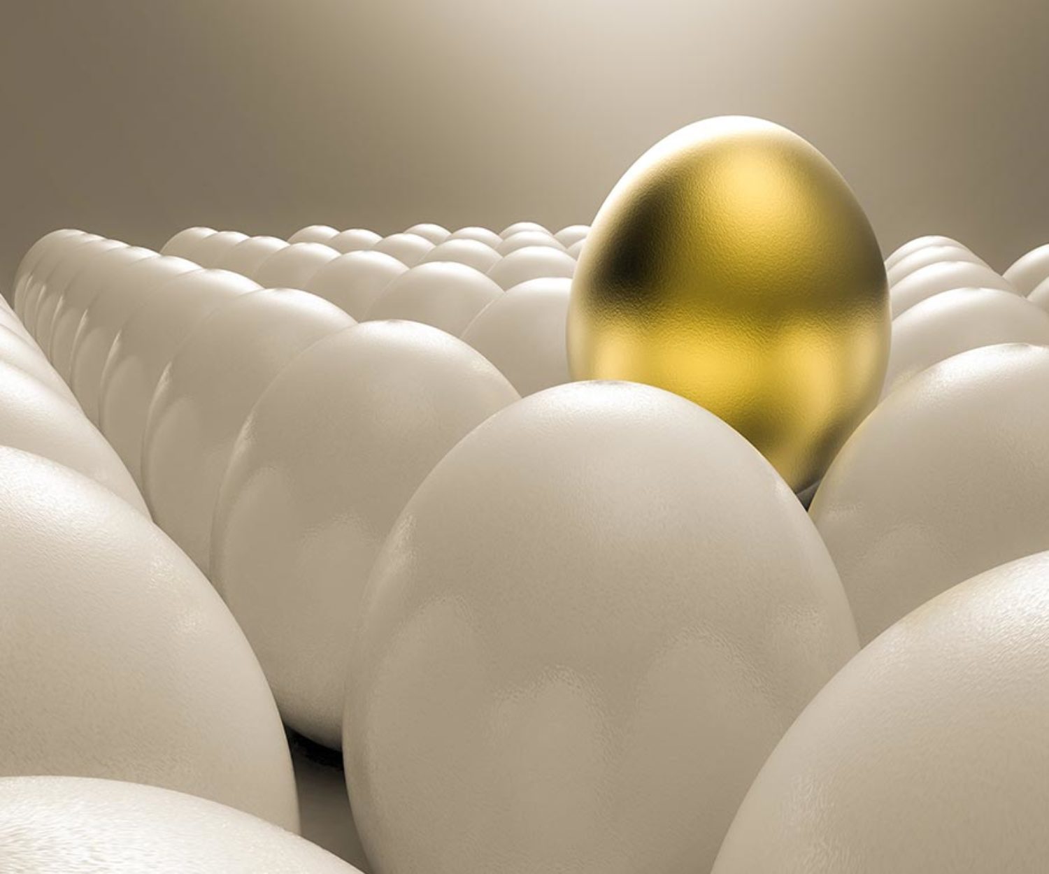 Going Beyond The Bland